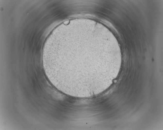 X0000077351228200611171850