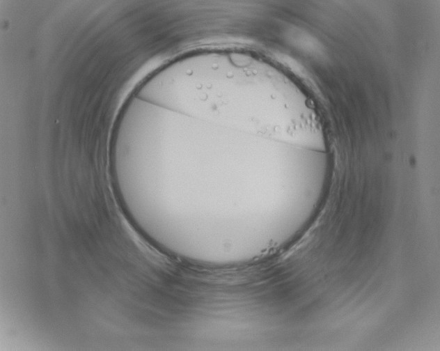 X0000077351229200611171850