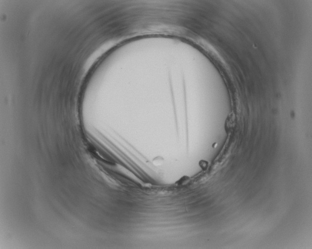 X0000077351230200611171850