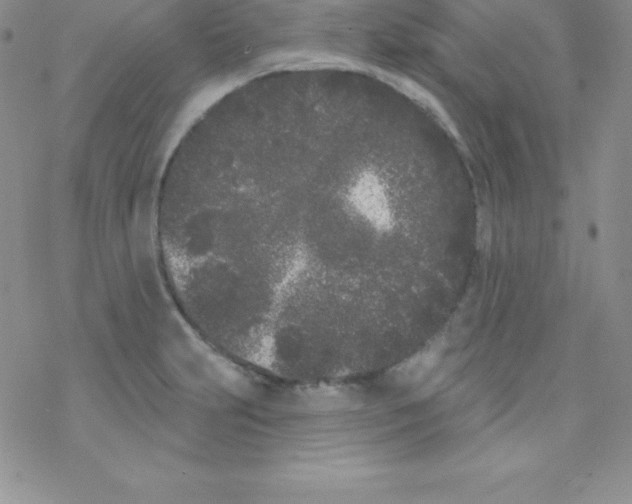 X0000077351231200611171850