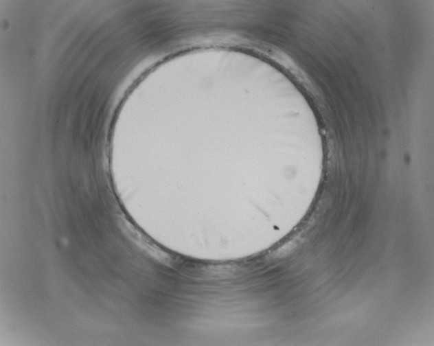 X0000077351232200611171850