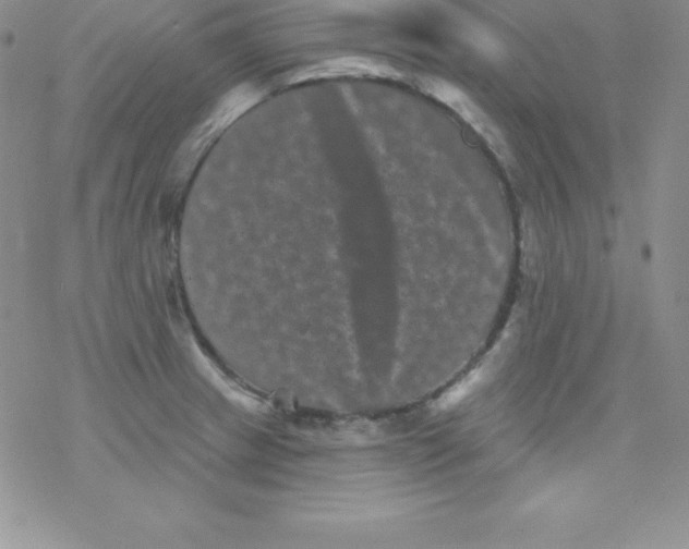 X0000077351233200611171850