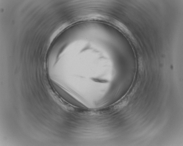 X0000077351234200611171850