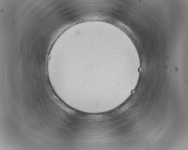 X0000077351236200611171850