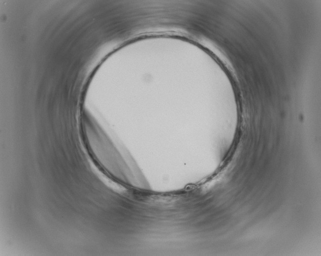 X0000077351237200611171850