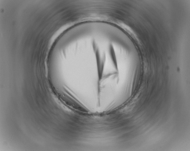 X0000077351238200611171850