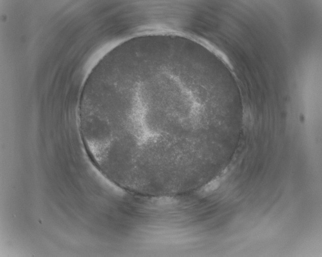 X0000077351239200611171850