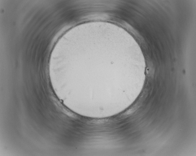 X0000077351240200611171850