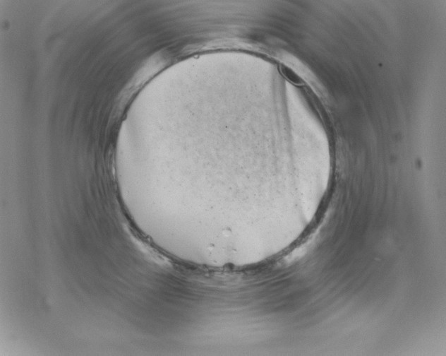 X0000077351241200611171850