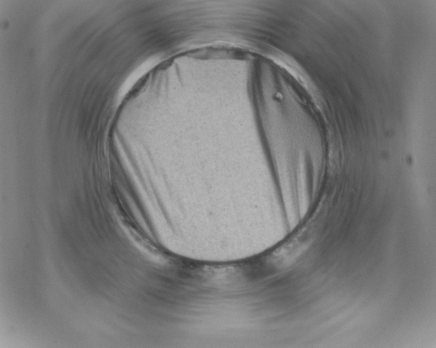 X0000077351242200611171850