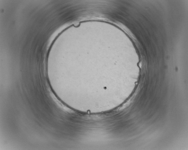 X0000077351246200611171850