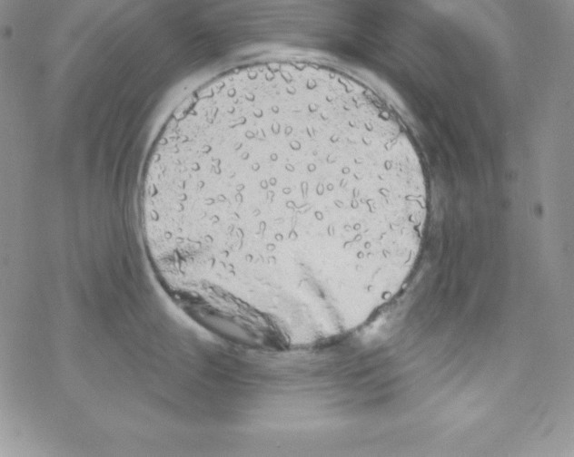 X0000077351247200611171850