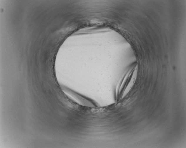 X0000077351249200611171849