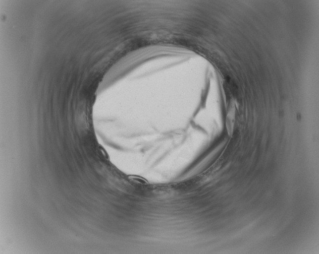 X0000077351250200611171849