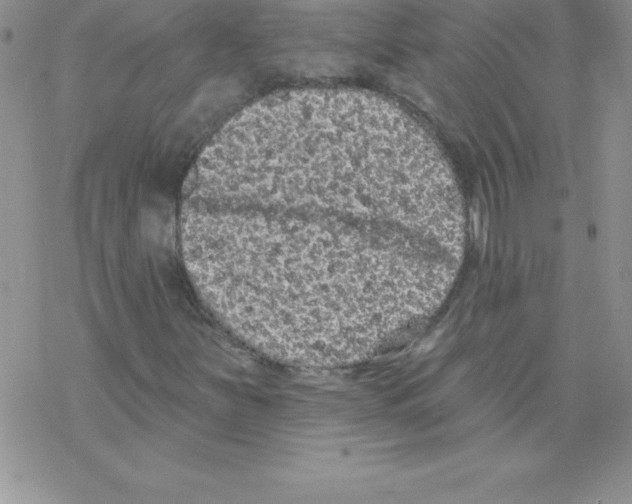 X0000077351251200611171849