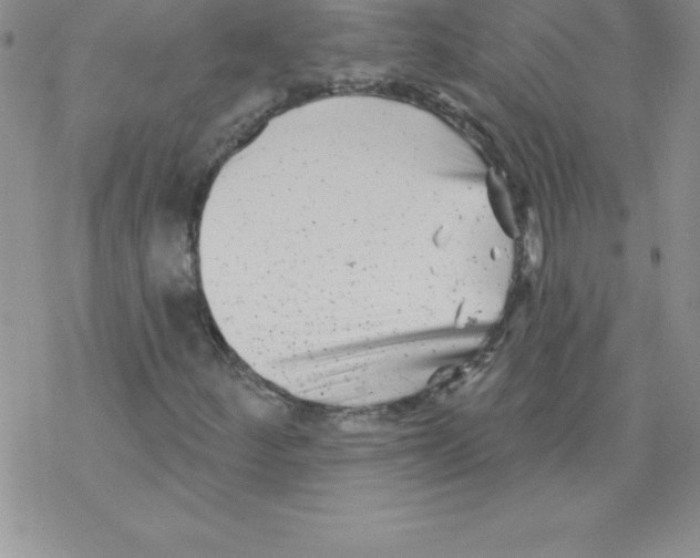 X0000077351252200611171849