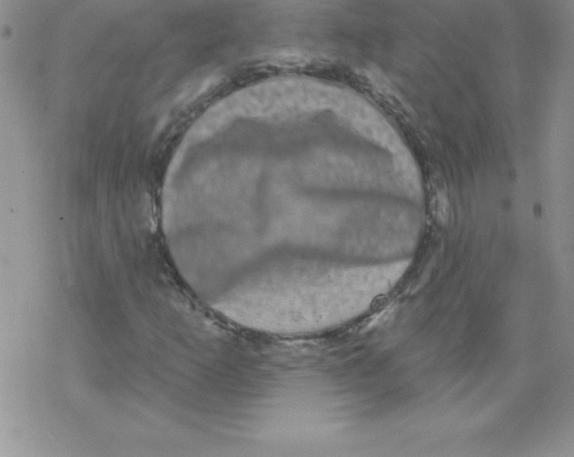 X0000077351253200611171849