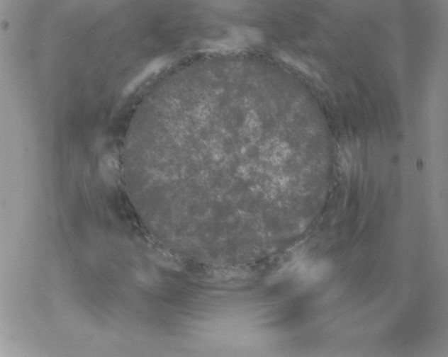 X0000077351254200611171849