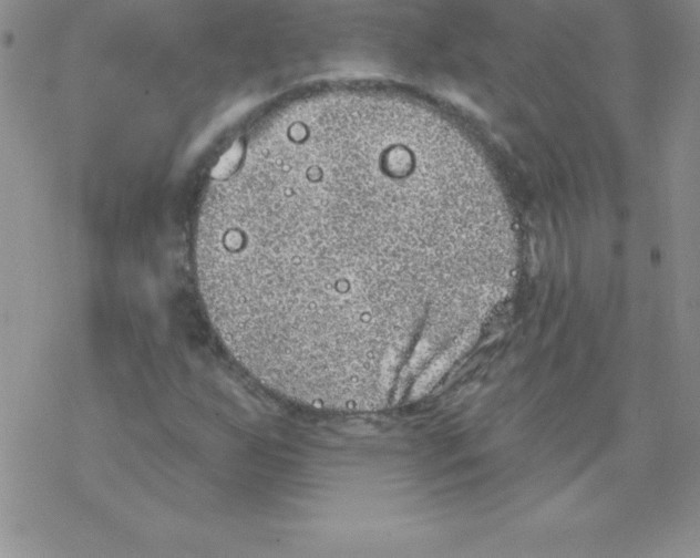 X0000077351255200611171849