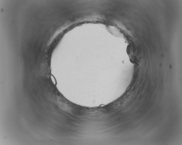 X0000077351256200611171849