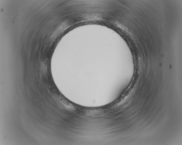 X0000077351257200611171849