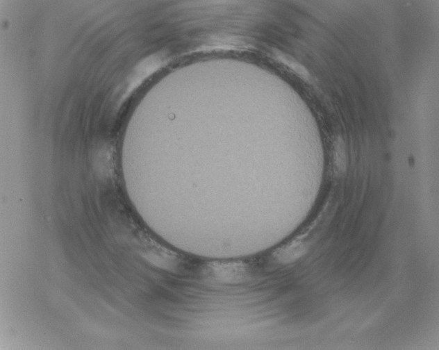 X0000077351258200611171849