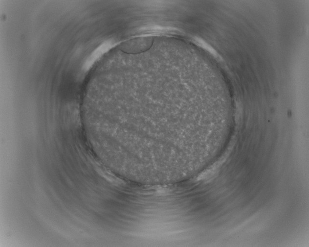 X0000077351259200611171849