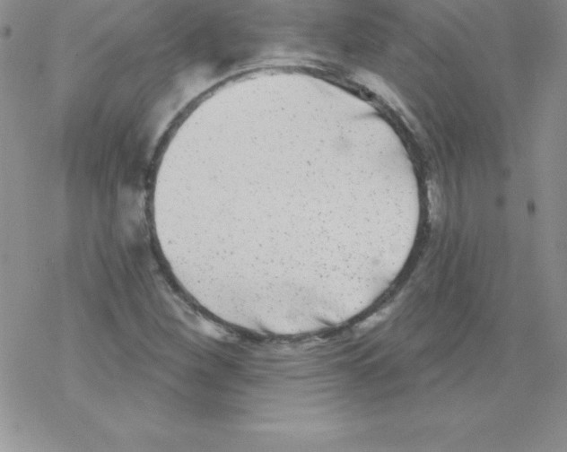 X0000077351260200611171849