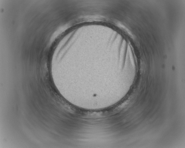 X0000077351261200611171849