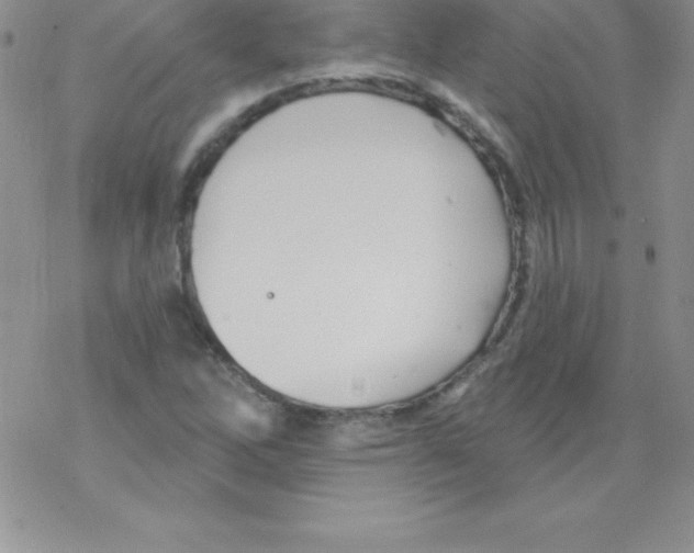 X0000077351262200611171849