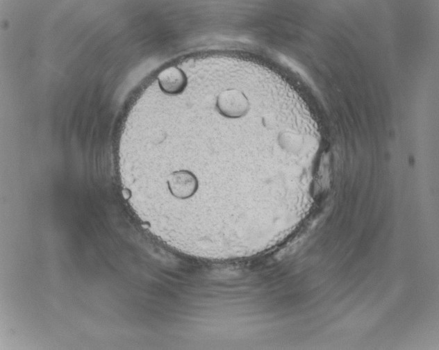 X0000077351267200611171849