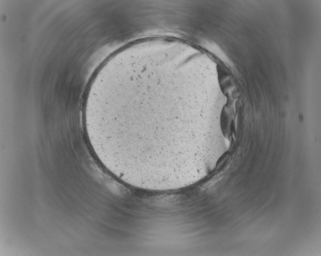 X0000077351268200611171849