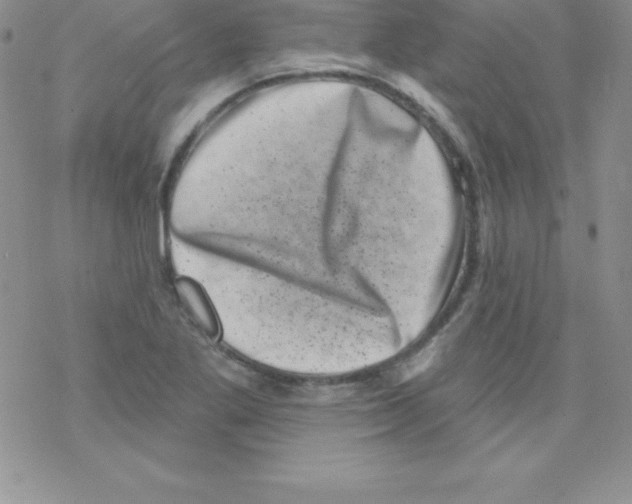 X0000077351269200611171849