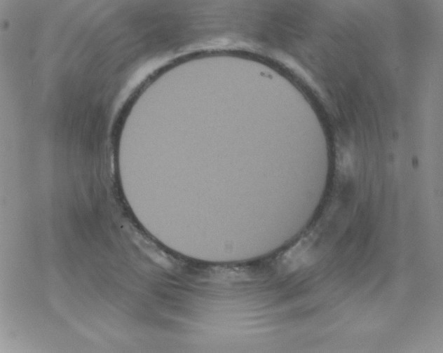 X0000077351270200611171849