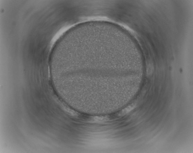 X0000077351271200611171849