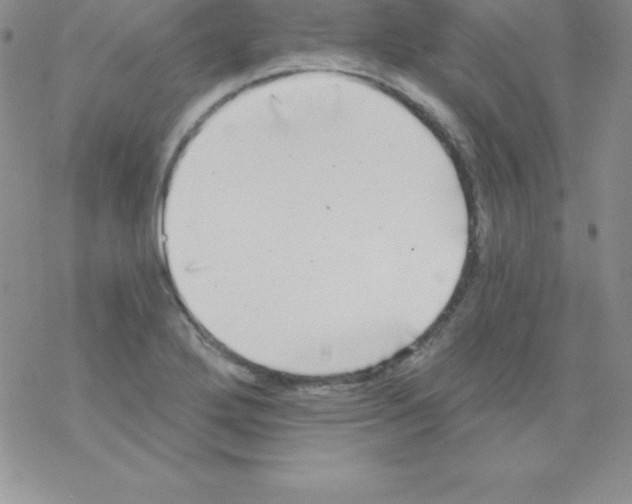 X0000077351272200611171849