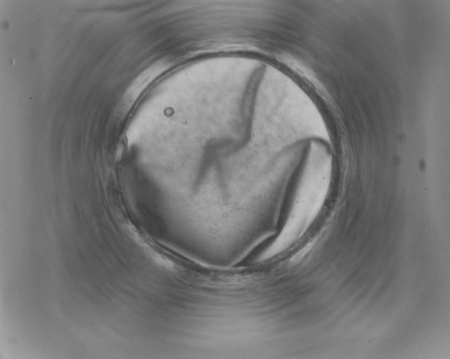 X0000077351273200611171849