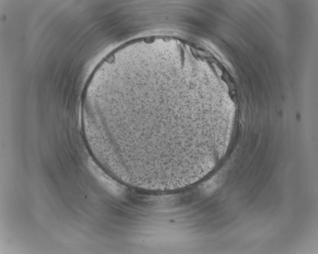 X0000077351276200611171849