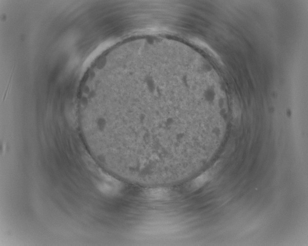 X0000077351278200611171849