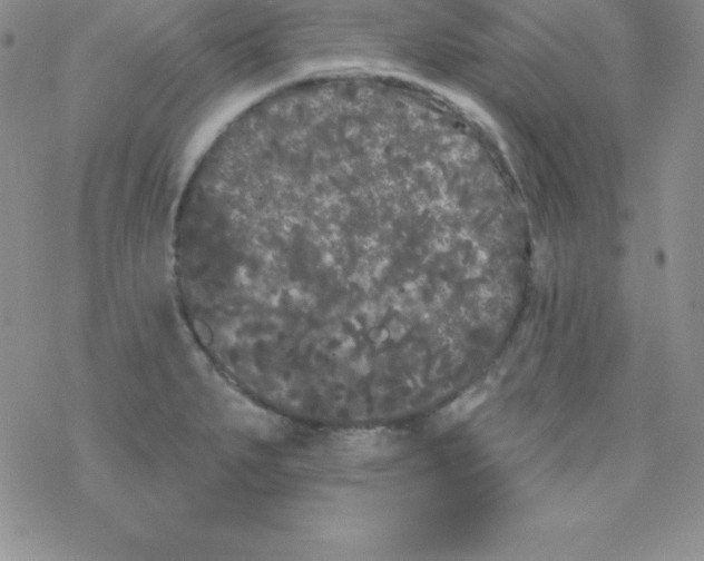 X0000077351279200611171849