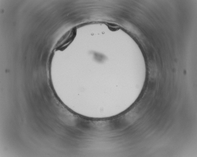 X0000077351280200611171849