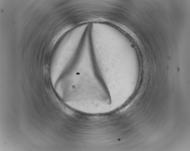 X0000077351281200611171849