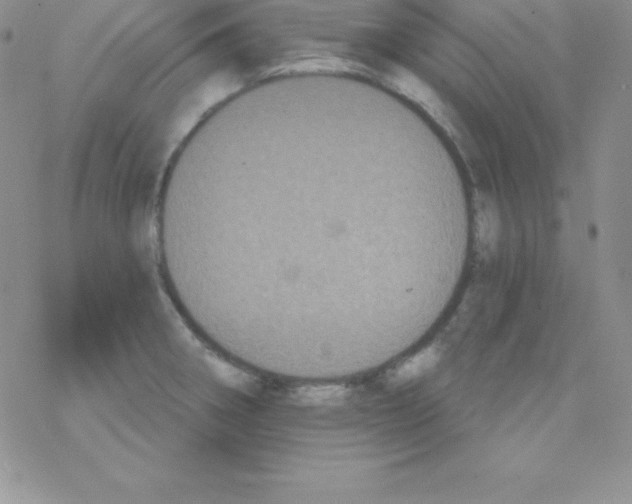 X0000077351282200611171849