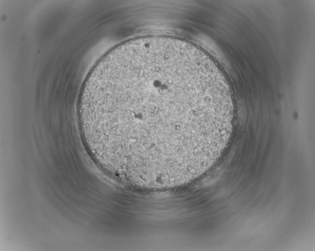 X0000077351283200611171849