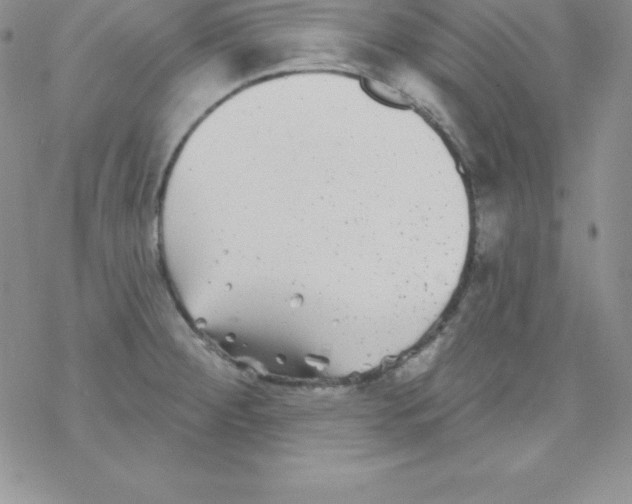 X0000077351284200611171849