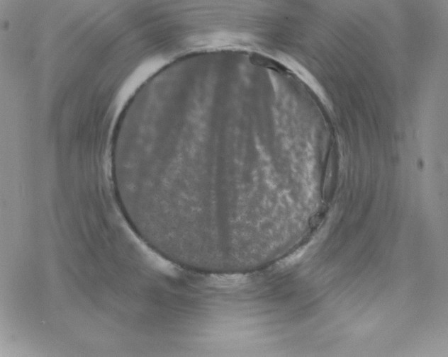 X0000077351285200611171849