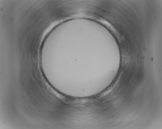 X0000077351286200611171849