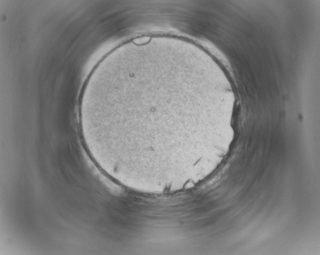 X0000077351287200611171849