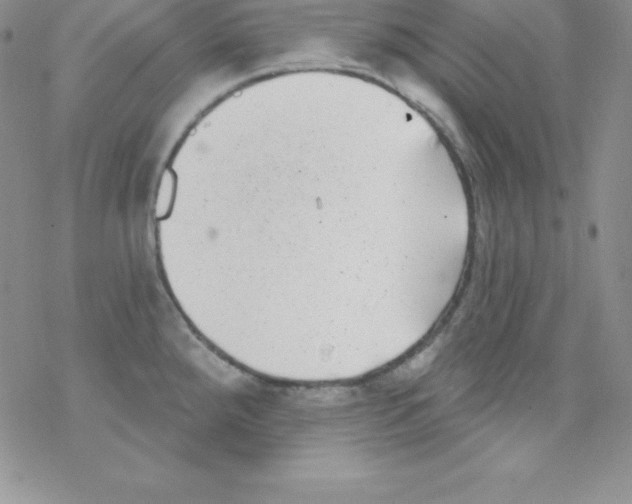 X0000077351288200611171849