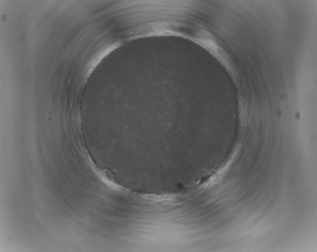 X0000077351289200611171849